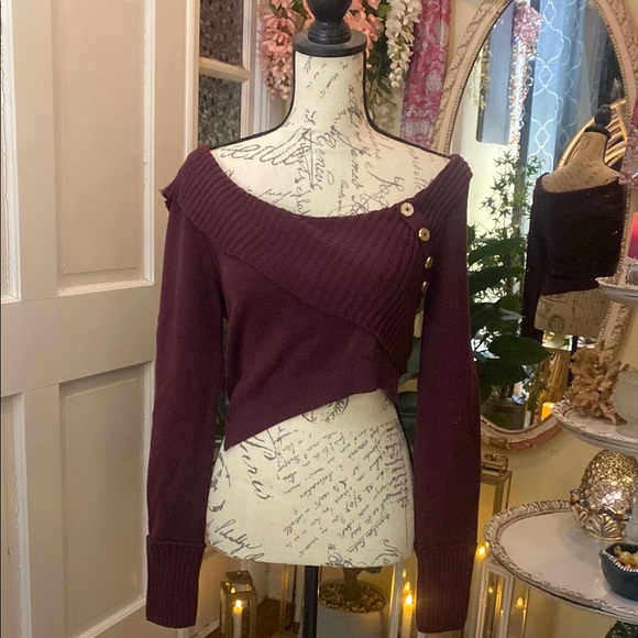 NWT, Silence+Noise Asymmetrical Burgundy Sweater from Urban Outfitterstfitters - Picture 1 of 3